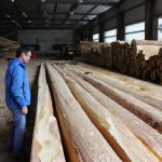 Timber Grading and Quality Control: Ensuring Wood Production: Sawmilling.